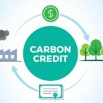 Carbon Credit Consulting Services
