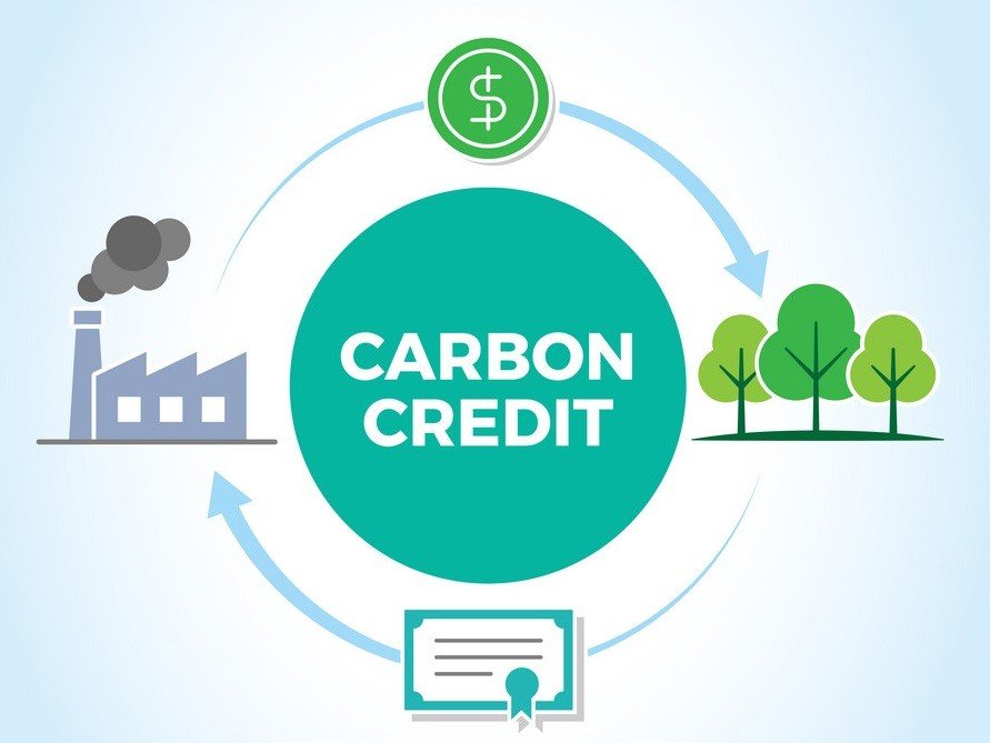 Carbon Credit Consulting Services