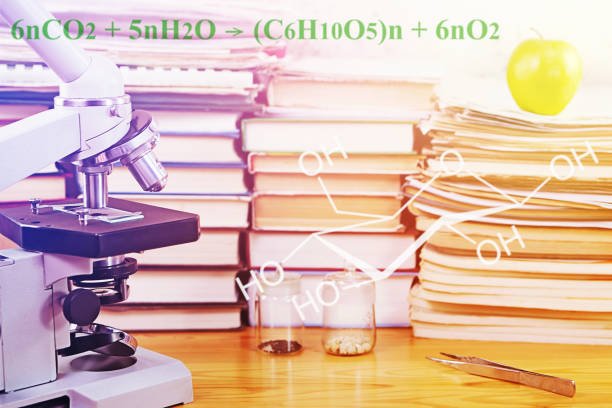 Biochemistry Homework Ideas for Students and Teachers