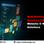 Web Development Services USA Custom Website & Web App Solutions
